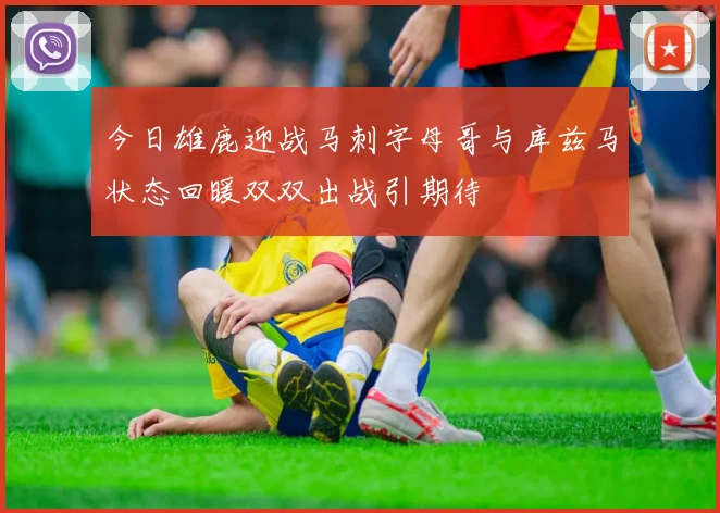 今日雄鹿迎战马刺字母哥与库兹马状态回暖双双出战引期待