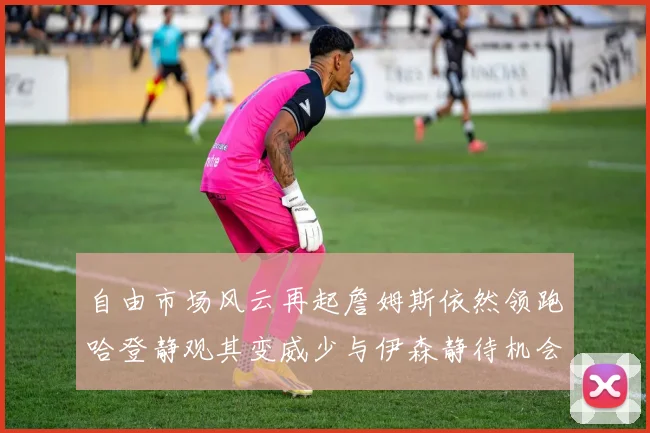自由市场风云再起詹姆斯依然领跑哈登静观其变威少与伊森静待机会