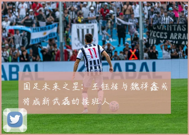 国足未来之星：王钰栋与魏祥鑫或将成新武磊的接班人