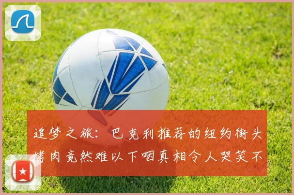 追梦之旅：巴克利推荐的纽约街头烤肉竟然难以下咽真相令人哭笑不得